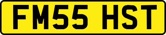 FM55HST
