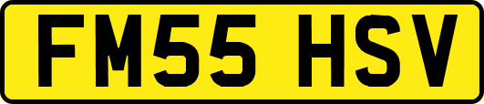 FM55HSV