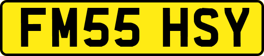 FM55HSY