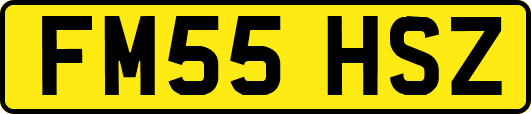 FM55HSZ
