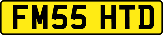 FM55HTD