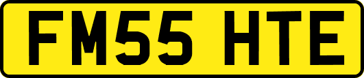 FM55HTE