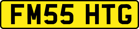 FM55HTG