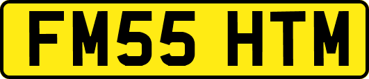 FM55HTM