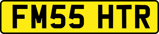 FM55HTR