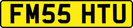 FM55HTU