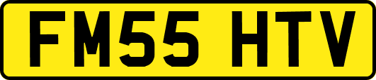 FM55HTV