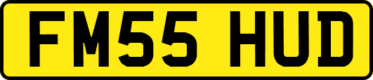 FM55HUD