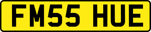 FM55HUE