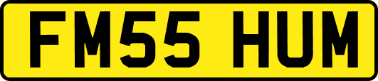 FM55HUM