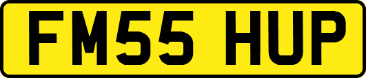 FM55HUP