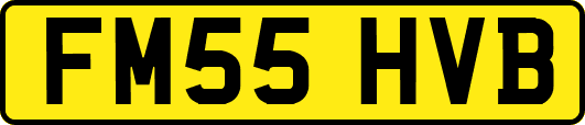 FM55HVB