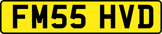 FM55HVD