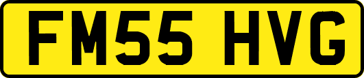 FM55HVG