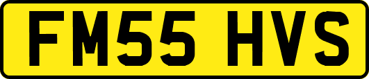 FM55HVS