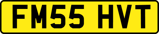 FM55HVT