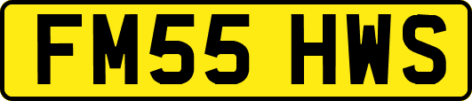 FM55HWS