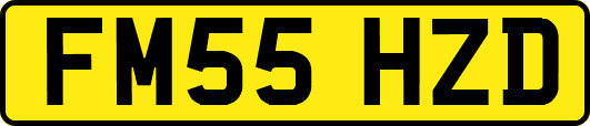 FM55HZD