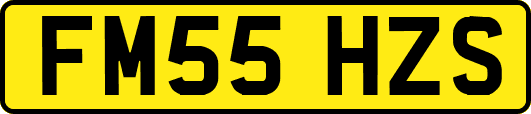 FM55HZS