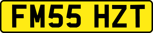 FM55HZT