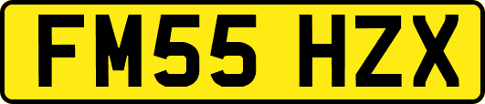 FM55HZX