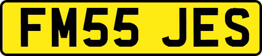 FM55JES