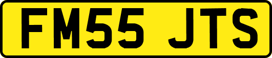 FM55JTS