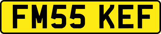 FM55KEF
