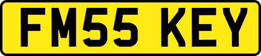 FM55KEY
