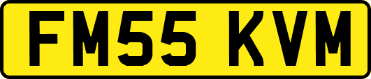 FM55KVM