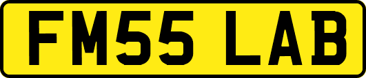 FM55LAB