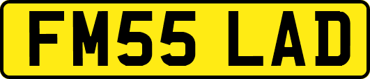 FM55LAD