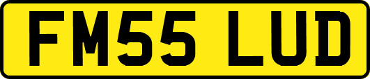FM55LUD