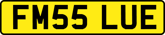 FM55LUE