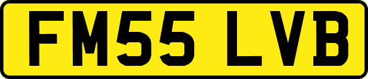 FM55LVB