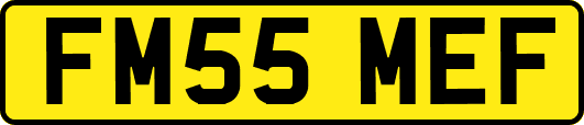 FM55MEF