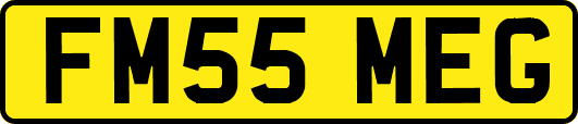 FM55MEG