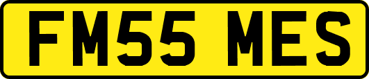 FM55MES