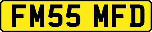 FM55MFD