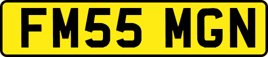 FM55MGN