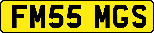 FM55MGS
