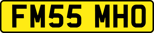 FM55MHO