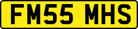 FM55MHS