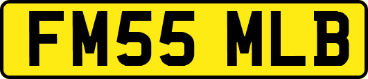 FM55MLB