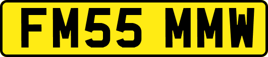 FM55MMW