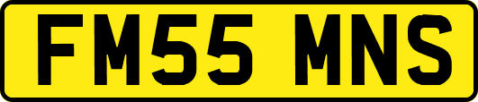 FM55MNS