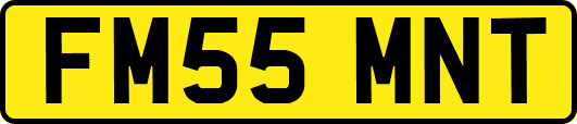 FM55MNT