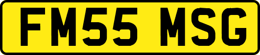 FM55MSG