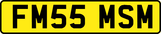 FM55MSM