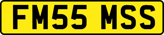 FM55MSS